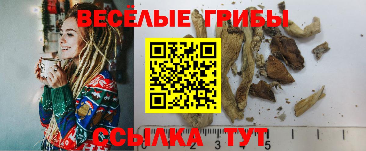Галлюциногенные грибы мицелий Мыски